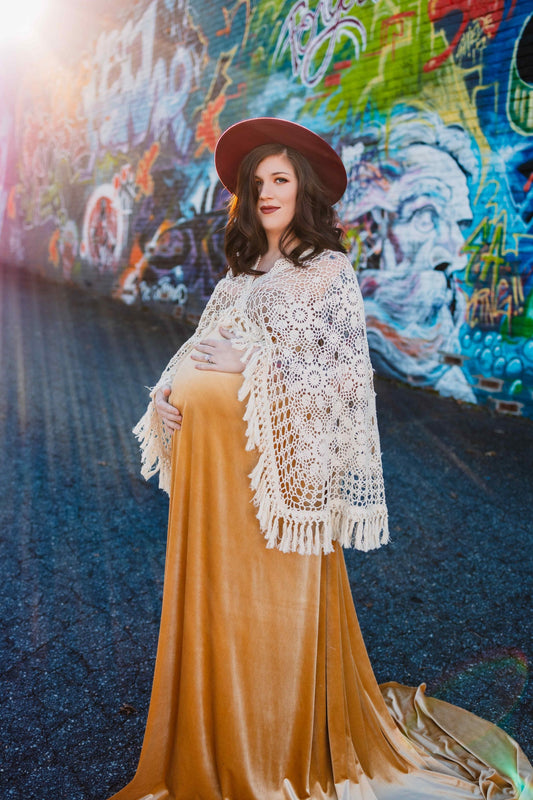 *Rental* Velvet and Lace Photography Gown