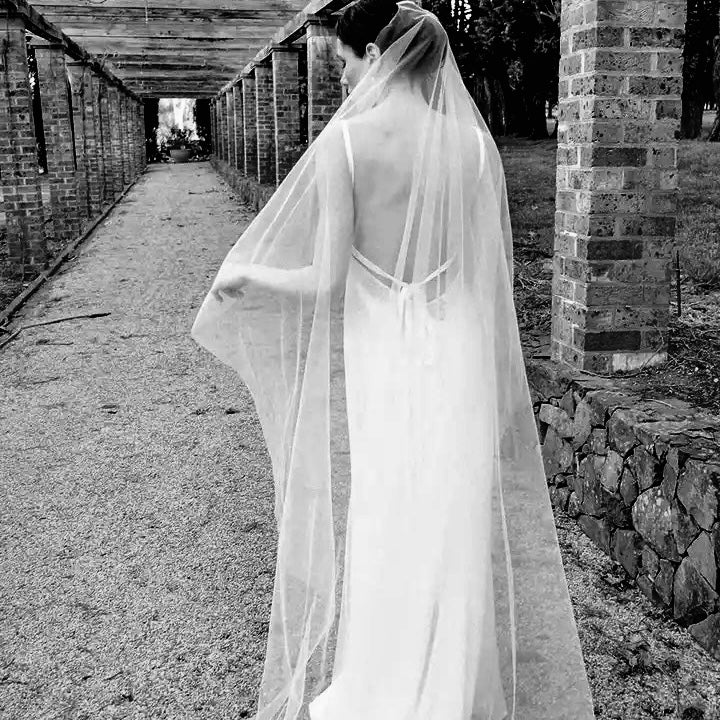 Day Dreaming Veil