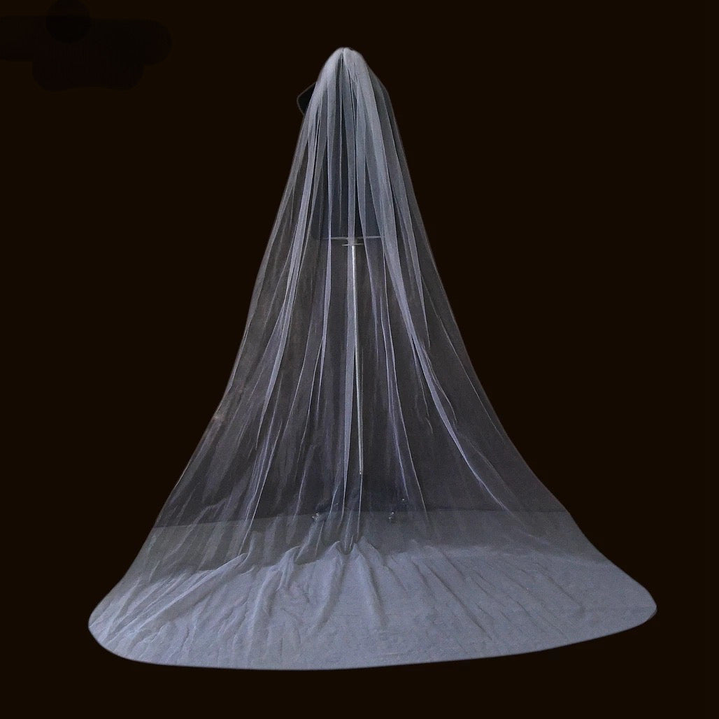 Day Dreaming Veil