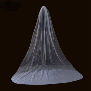 Day Dreaming Veil