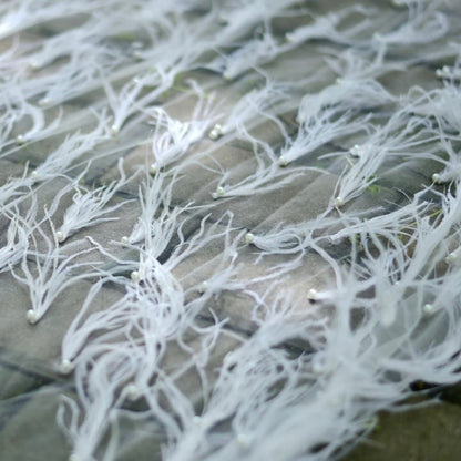 Pluma Veil