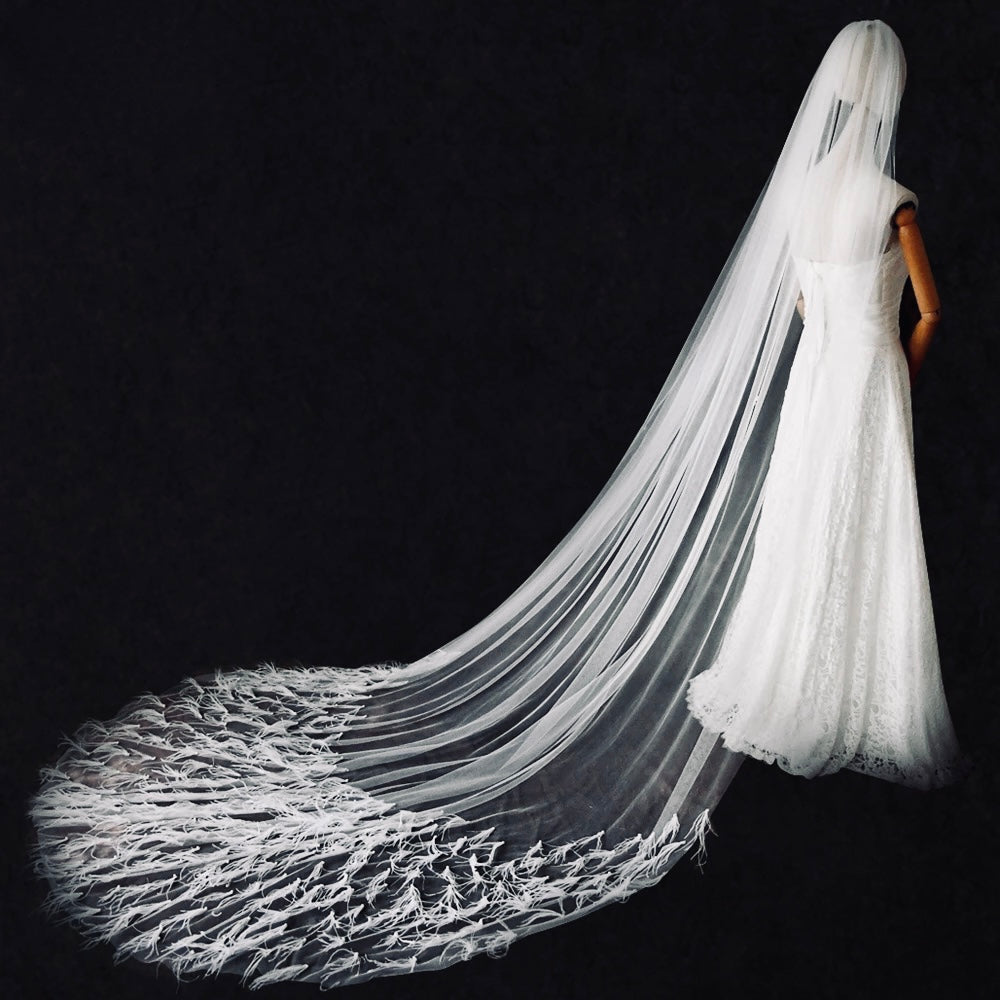 Pluma Veil